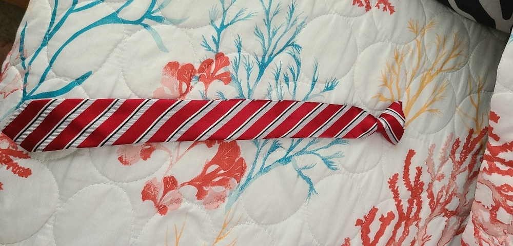 Little boys clip on tie